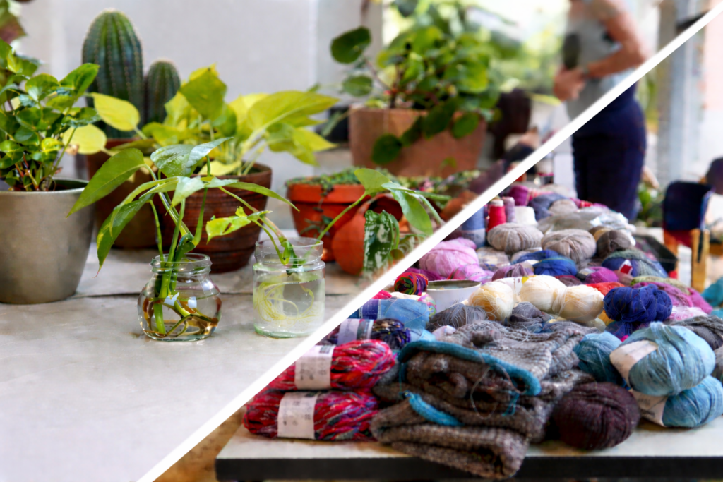 Zimmerpflanzen in Töpfen und Gläsern neben Tisch mit Wollknäueln und Strickwaren